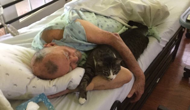 Dieses Bild hat ein leeres Alt-Attribut. Der Dateiname ist mann-im-hospiz-bett.sqvheq.qlw76h.im_.lg_.jpg