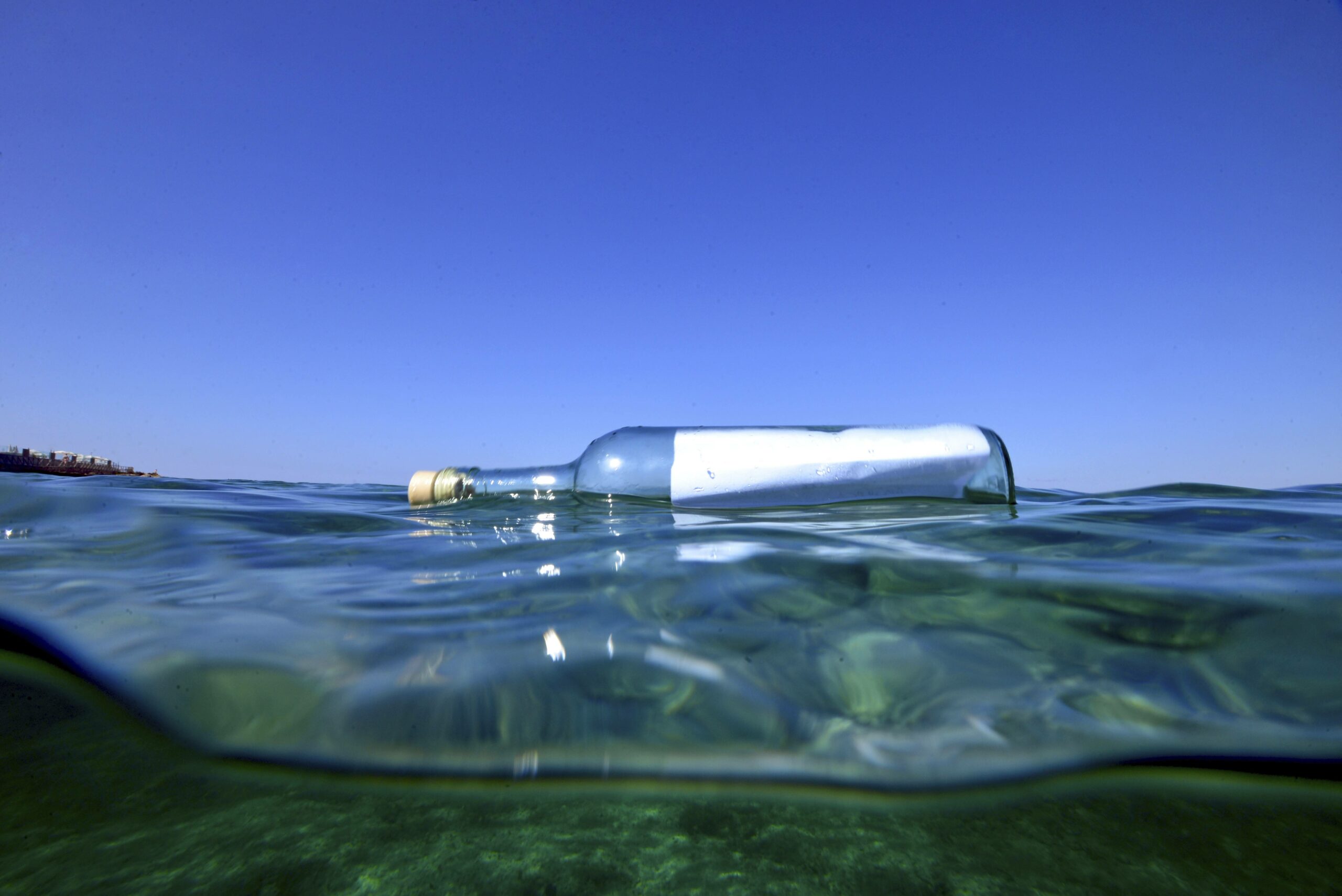 Image: IMAGO / imagebroker