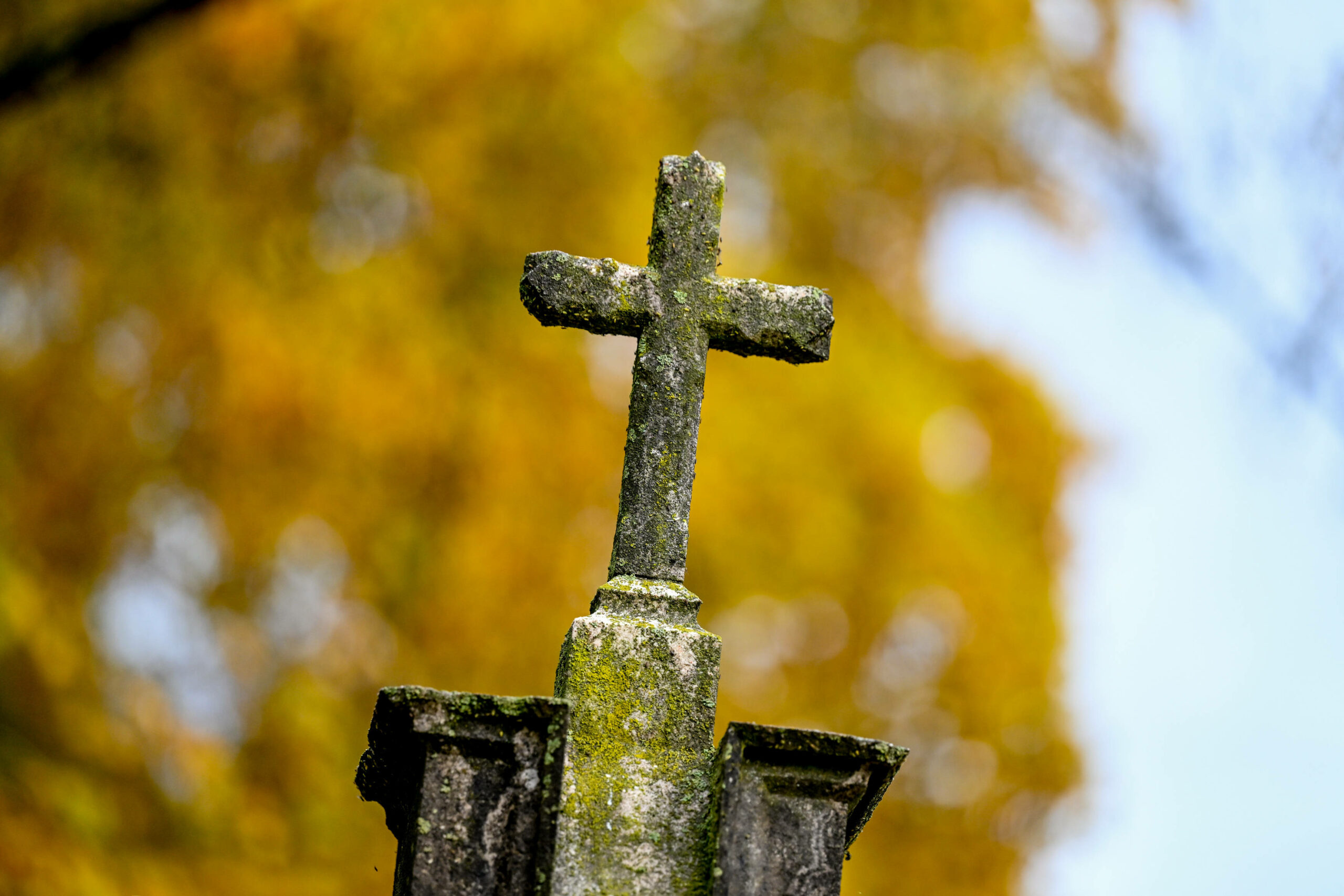 Image: IMAGO / Harald Dostal